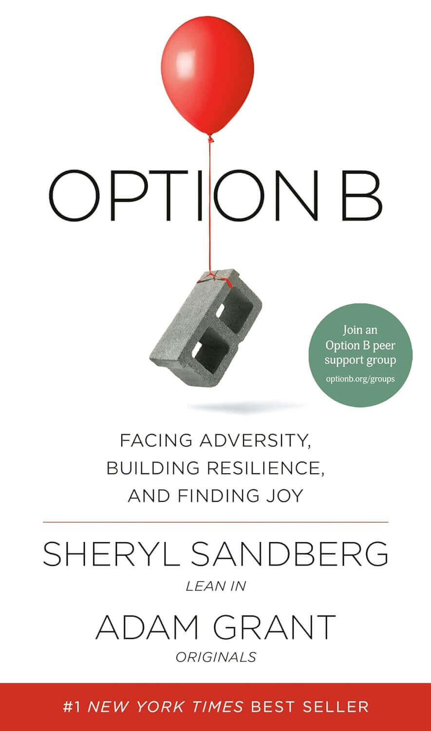 Cover of Option B